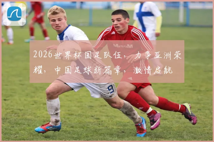 2026世界杯国足队伍，力争亚洲荣耀，中国足球新篇章，激情启航