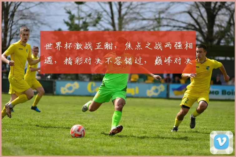 世界杯激战正酣，焦点之战两强相遇，精彩对决不容错过，巅峰对决谁将称霸