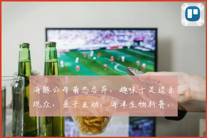 海豚公母萌态各异，趣味十足逗乐观众，亲子互动，海洋生物科普，一睹为快