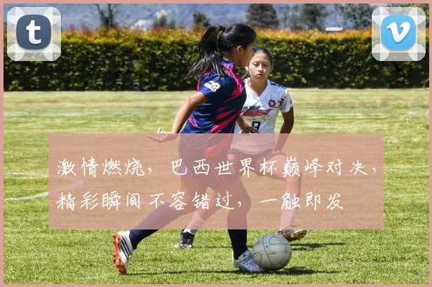 激情燃烧，巴西世界杯巅峰对决，精彩瞬间不容错过，一触即发
