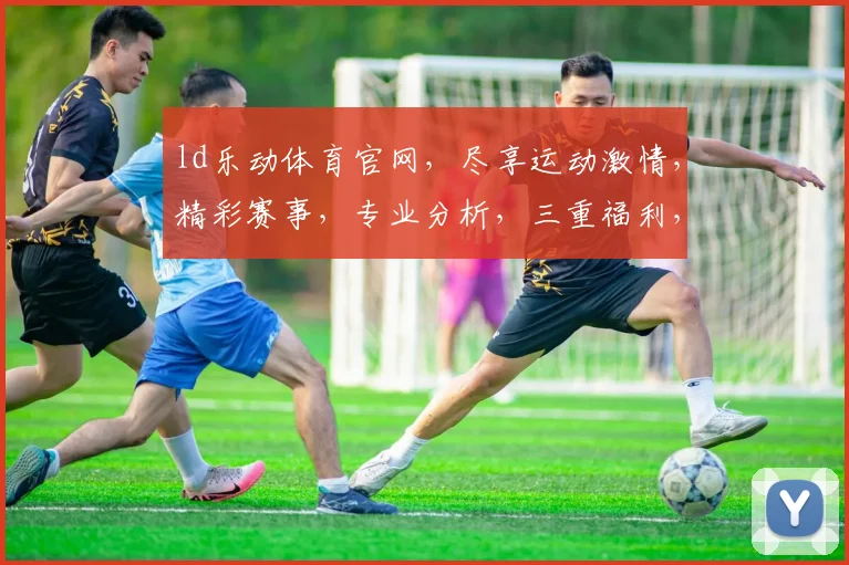 ld乐动体育官网，尽享运动激情，精彩赛事，专业分析，三重福利，不容错过