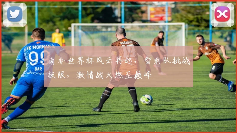南非世界杯风云再起，智利队挑战极限，激情战火燃至巅峰